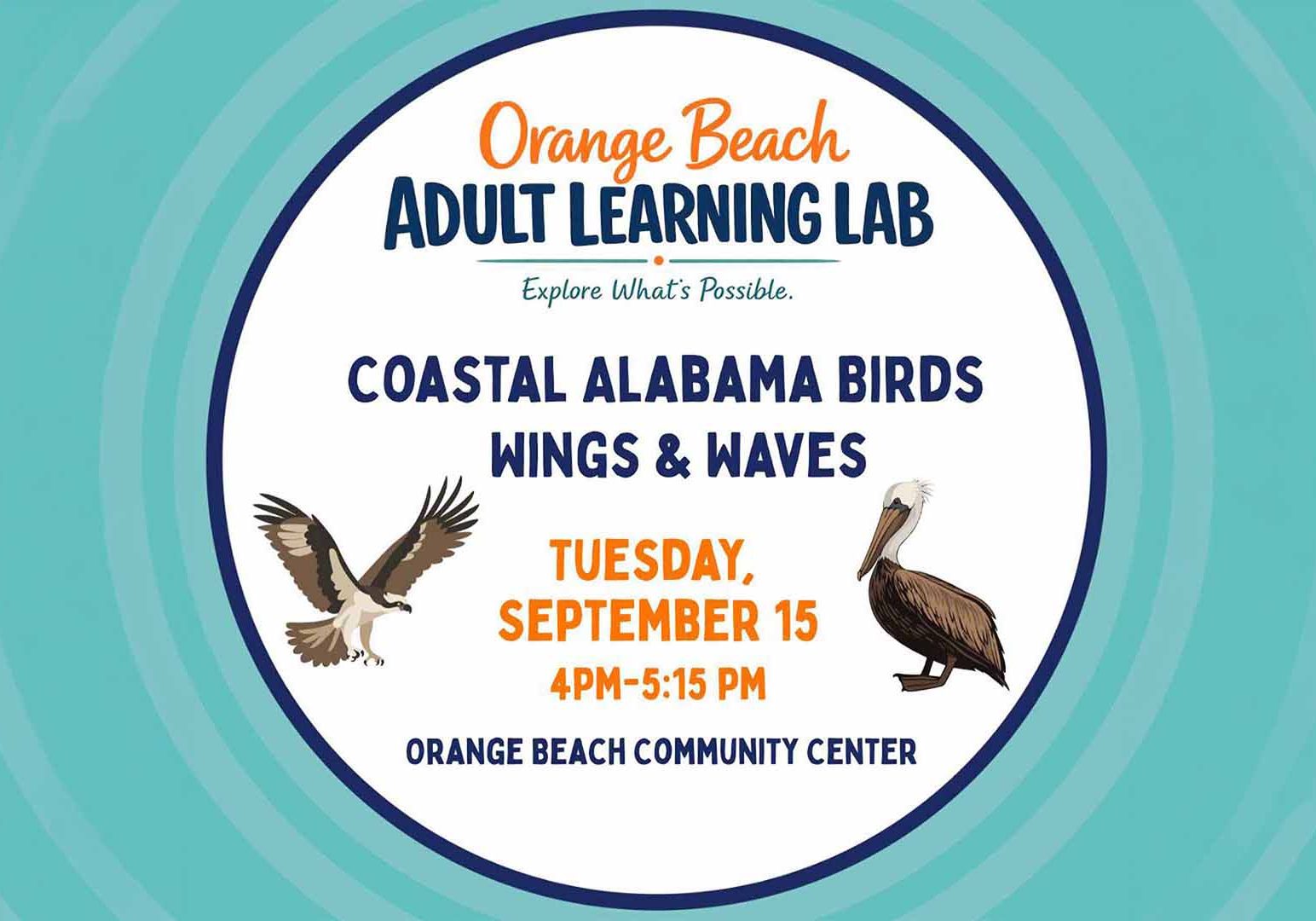 Birding Session Coming To Orange Beach