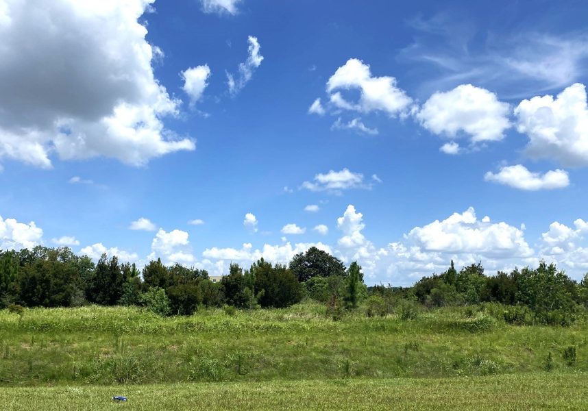 BJ’S WHOLESALE CLUB PLANNED FOR FOLEY