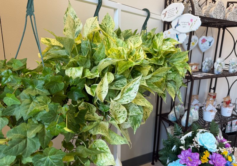 BLOOMING FABULOUS FLOWER SHOP OPENS AT EASTERN SHORE CENTRE