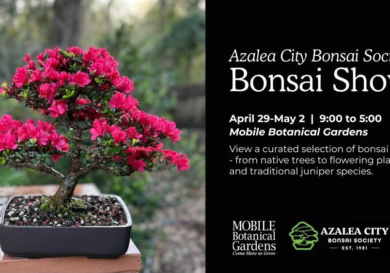 BONSAI SHOWCASE TO START APRIL 29