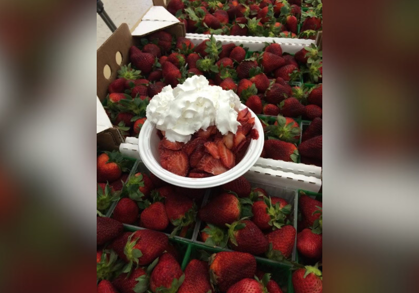 Baldwin County Strawberry Fest This Weekend