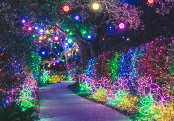 In 2024, more than 100,000 people came to view the three million lights that make up Magic Christmas in Lights’ holiday- and floral-themed displays.