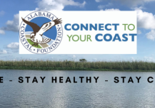 CALL FOR PRESENTATIONS ISSUED FOR SUSTAINABILITY SUMMIT