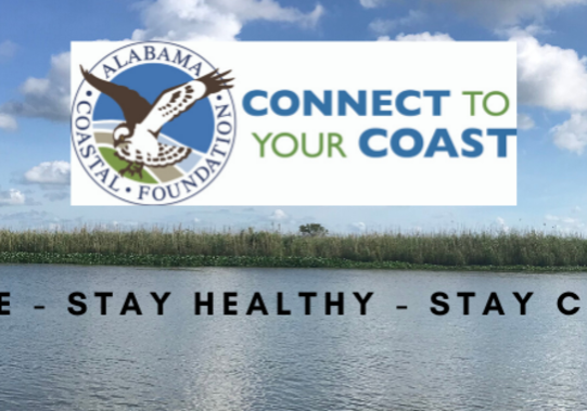 CALL FOR PRESENTATIONS ISSUED FOR SUSTAINABILITY SUMMIT