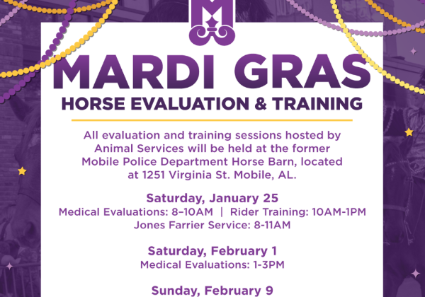 CITY OF MOBILE TO HOST HORSE EVALUATION SESSIONS FOR MARDI GRAS