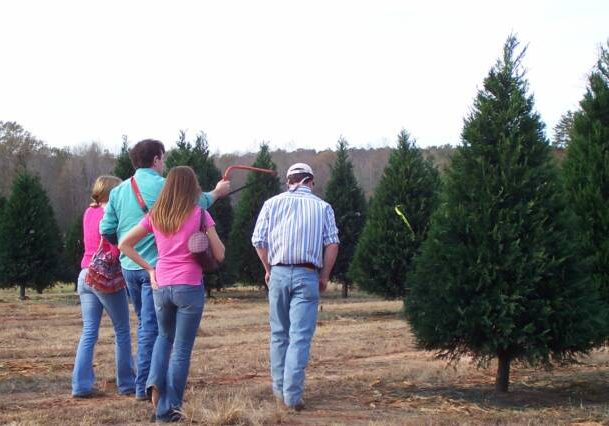 Christmas Tree Association to Meet In Gulf Shores