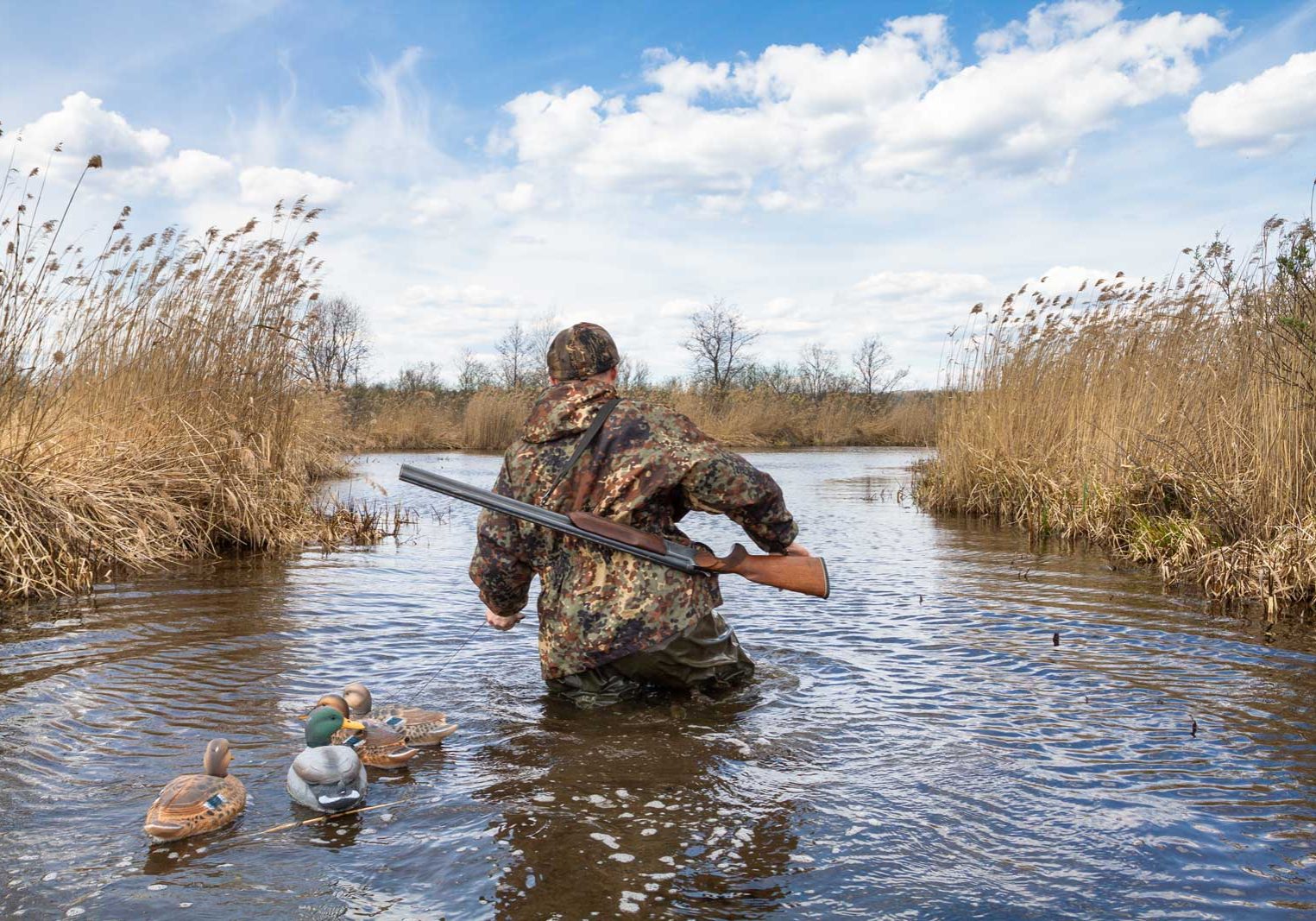 Conservation Benefit Set For November