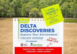Delta Discoveries Workshop Announced