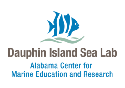DISL OCEAN STEM WORKSHOP COMING UP