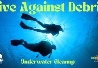 DIVE AGAINST DEBRIS COMING TO GULF STATE PARK