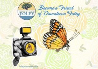 Foley Main Street Foundation Launches Initiative