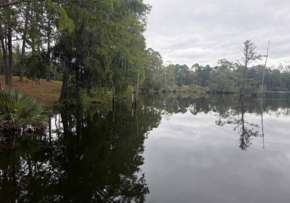 Foley Receives State Grant For Wolf Creek Park Improvements