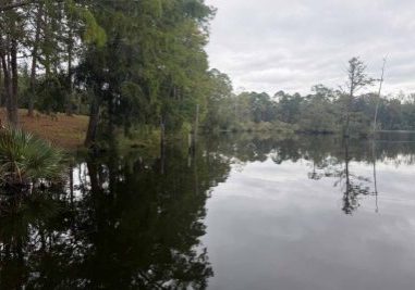 Foley Receives State Grant For Wolf Creek Park Improvements