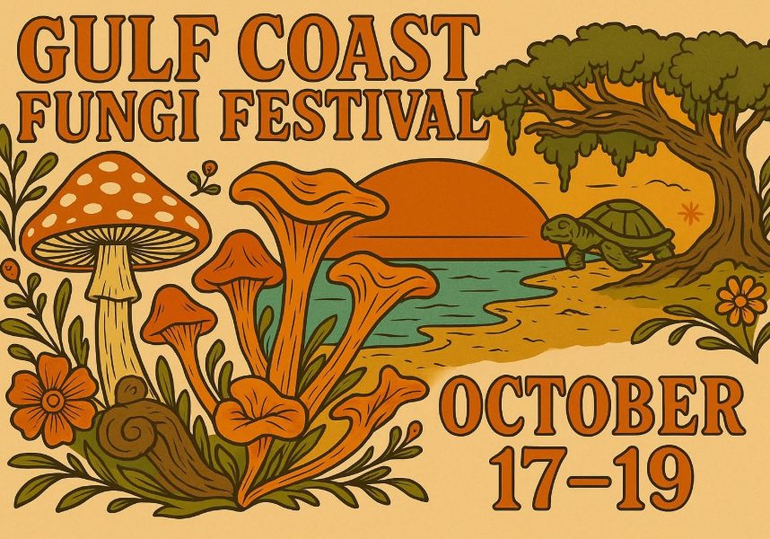 FUNGI FESTIVAL IS NEXT WEEKEND