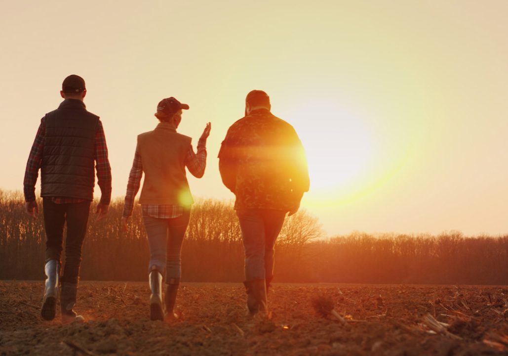 Three farmers go ahead on a plowed field at sunset. Young team of farmers.