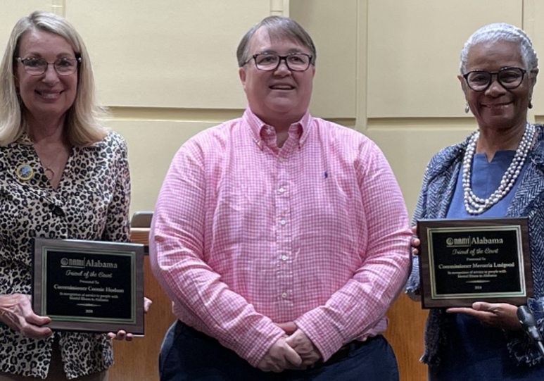 HUDSON, LUDGOOD NAMED FRIENDS OF THE COURT