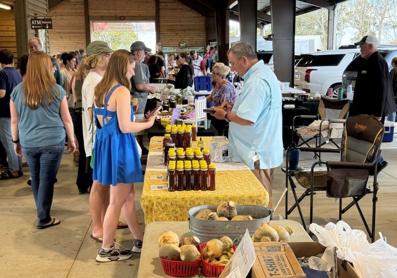 IMPROVEMENTS PLANNED FOR FOLEY MARKET AND SPORTS FACILITIES