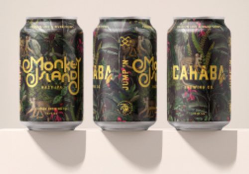 LEWIS EARNS FIVE GRAPHIS DESIGN AWARDS