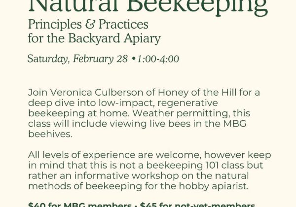 MBG BEEKEEPING CLASS COMING UP