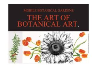 MBG DRAWING CLASS COMING UP