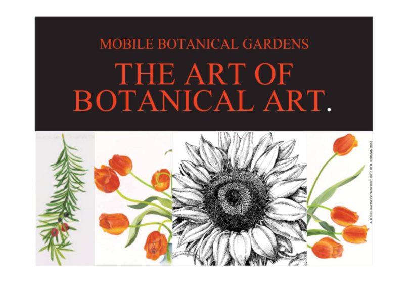 MBG DRAWING CLASS COMING UP