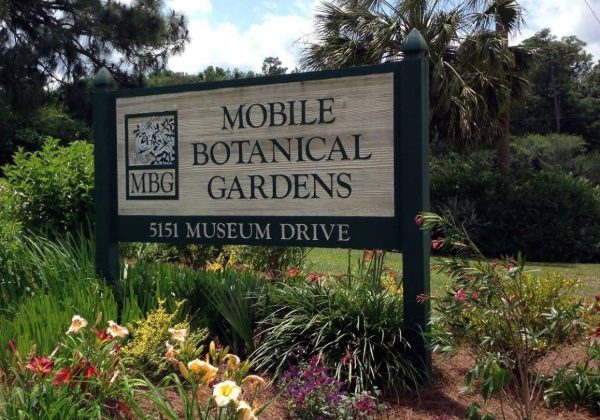 MBG TO HOST HERB EDUCATION DAY