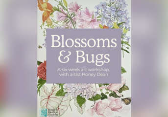 MBG blossoms & bugs drawing workshop announced
