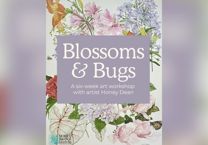 MBG blossoms & bugs drawing workshop announced