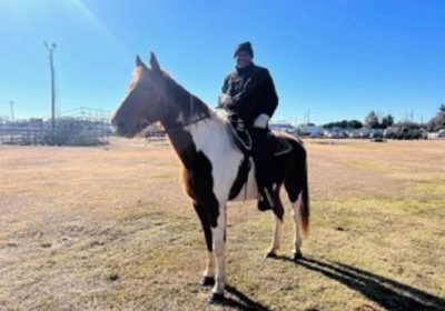 MOBILE TO TRAIN MARDI GRAS HORSE RIDERS