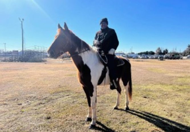 MOBILE TO TRAIN MARDI GRAS HORSE RIDERS