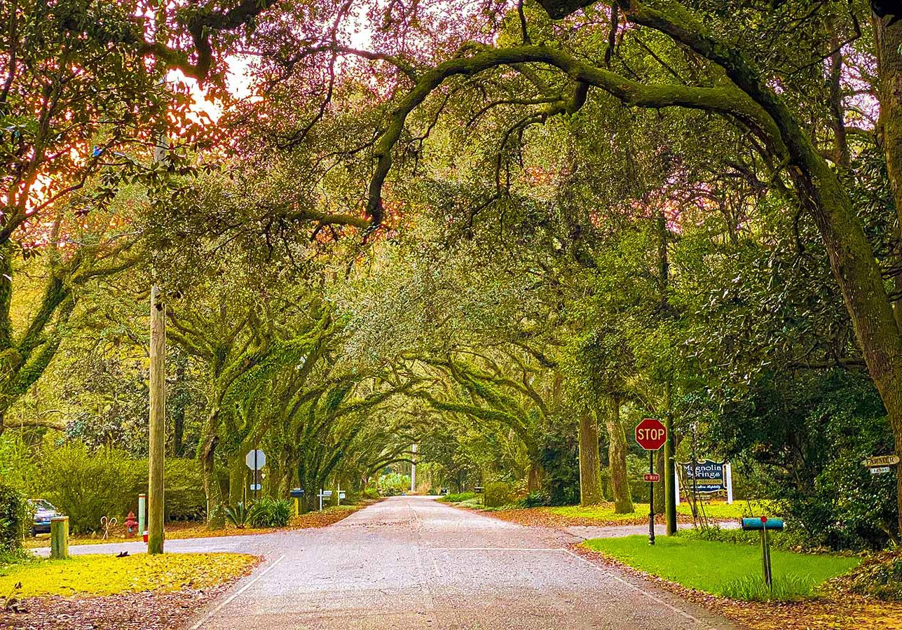 Magnolia Springs Named To &ldquo;Beautiful Small Towns&rdquo;