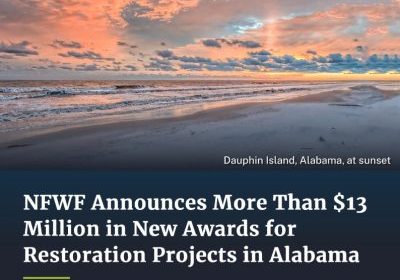 NFWF ANNOUNCES MORE THAN $13 MILLION IN PROJECTS