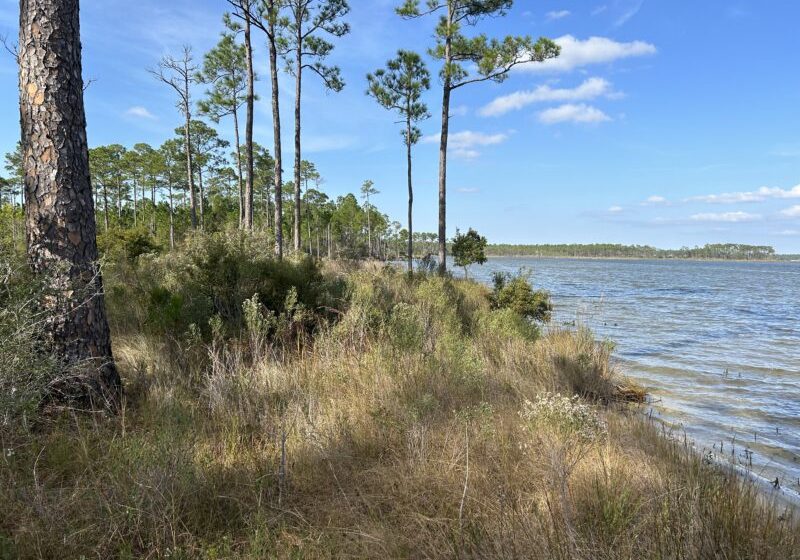 NOAA GRANT TO BE USED FOR EXPANSION OF GRAHAM CREEK NATURE PRESERVE