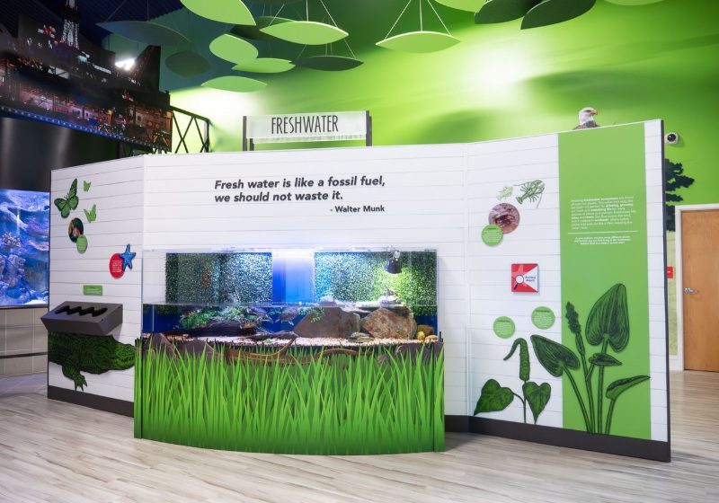 ORANGE BEACH SCIENCE, NATURE CENTER OPENS