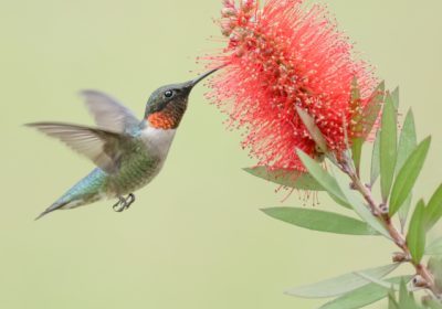 OUTDOOR ALABAMA PHOTO CONTEST OPEN THROUGH OCTOBER 31__