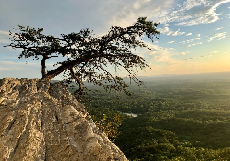 OUTDOOR ALABAMA PHOTO CONTEST WINNERS ANNOUNCED