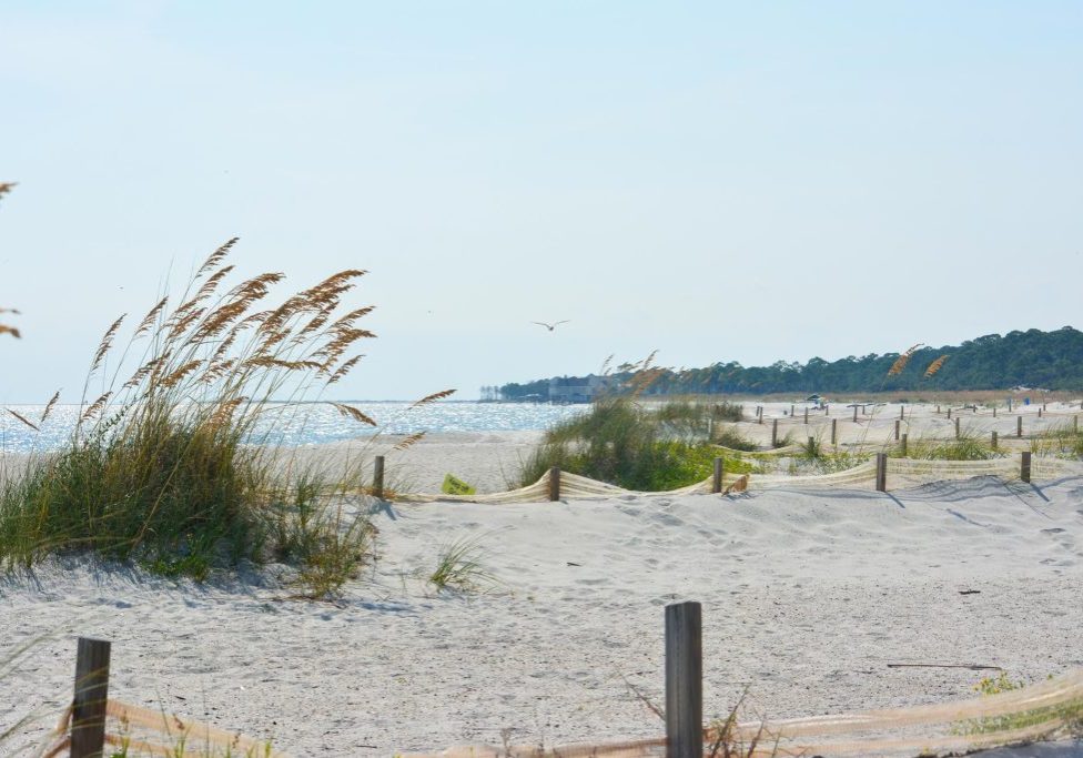 Project Suggestions Open For Restore Act Funding