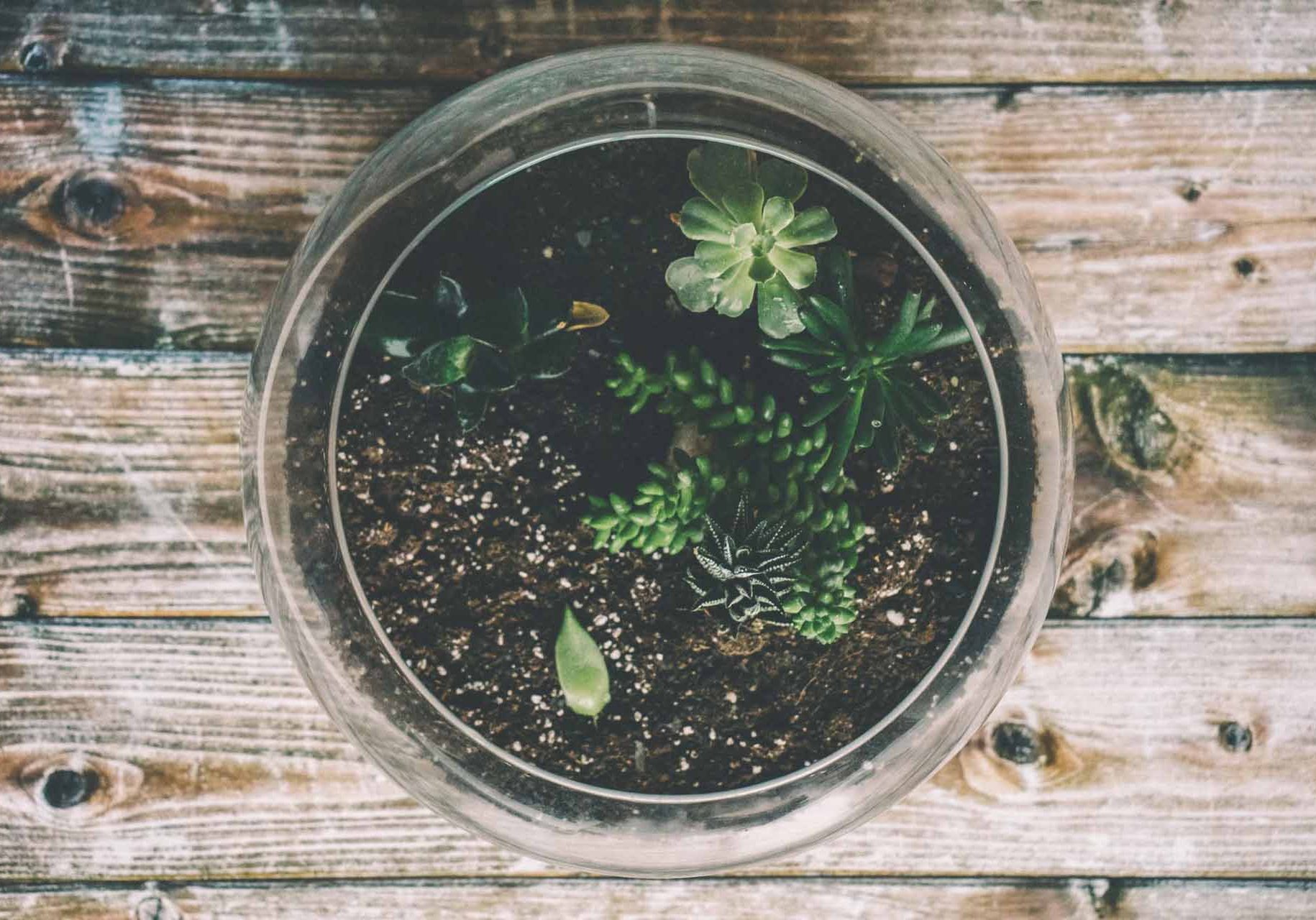 SALT’S Sip & Sprout Coming Up
