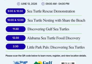 Sea Turtle Event Coming To Gulf State Park