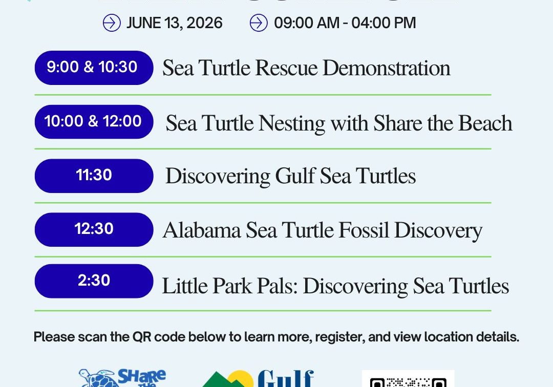 Sea Turtle Event Coming To Gulf State Park