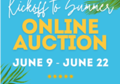 SOUTH BALDWIN CHAMBER FOUNDATION AUCTION BEGINS