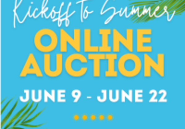 SOUTH BALDWIN CHAMBER FOUNDATION AUCTION BEGINS