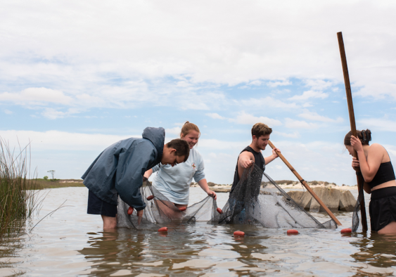 USA marine science undergraduates collect samples during the Semester by the Sea program at the Dauphin Island Sea Lab; image courtesy of USA.