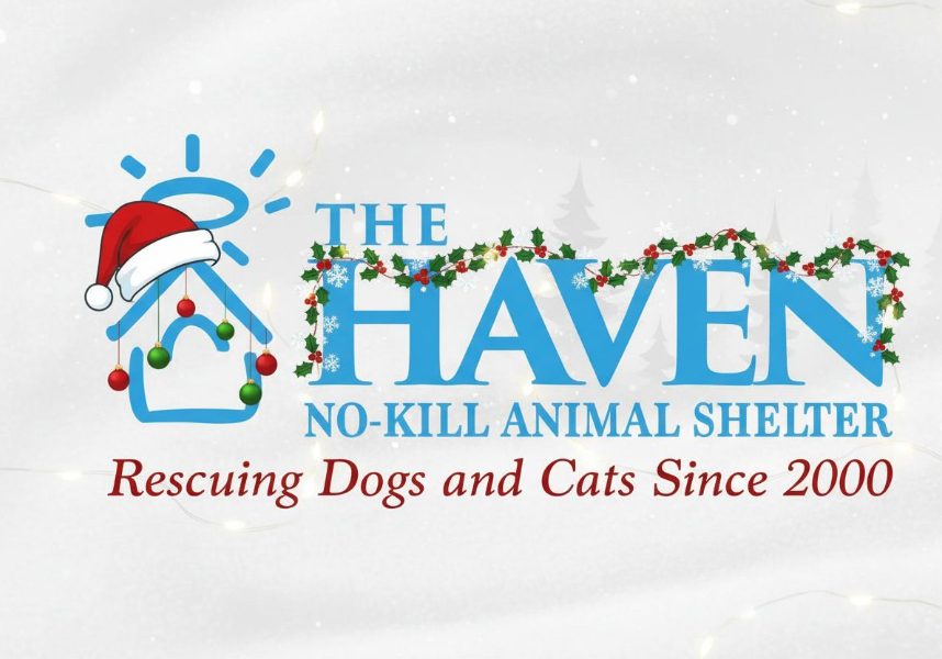 THE HAVEN AWARDED FOR SAVE RATE