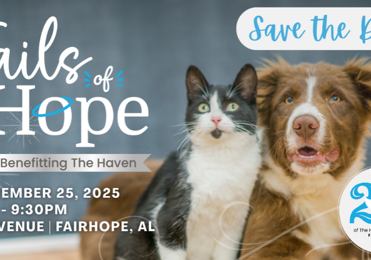 THE HAVEN FUNDRAISER SET FOR SEPTEMBER 25