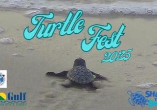TURTLE FEST 2025 COMING UP