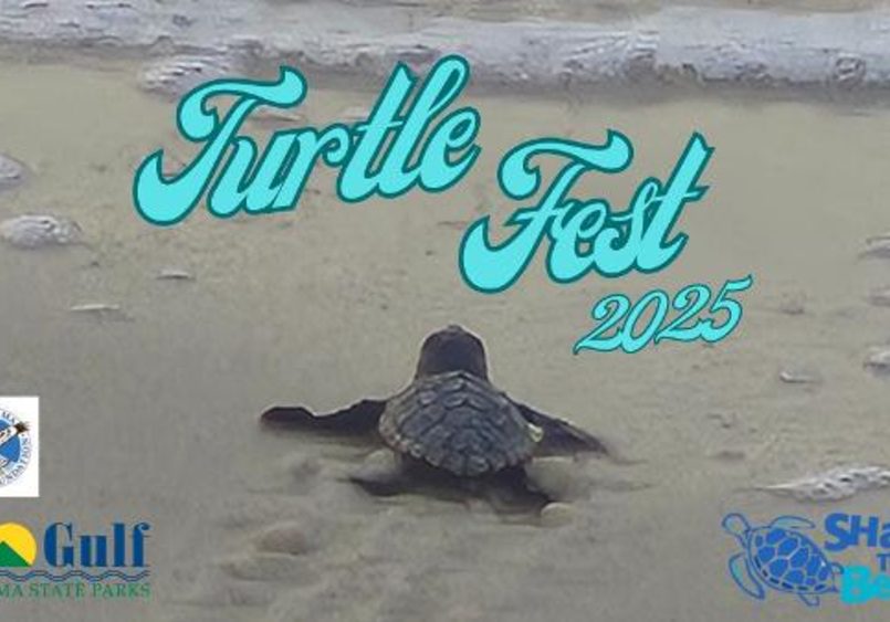 TURTLE FEST 2025 COMING UP