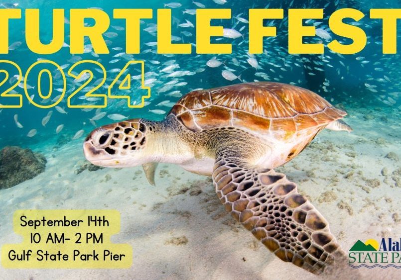 TURTLEFEST COMING TO GULF SHORES