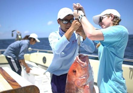 USA Founds School Of Marine And Environmental Sciences