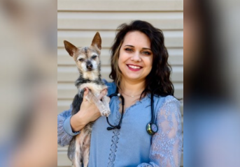 VILLAGE ANIMAL CLINIC ADDS HUGHES